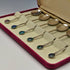Vintage Sterling Silver Teaspoon Set of 6 Opal Decorated Case